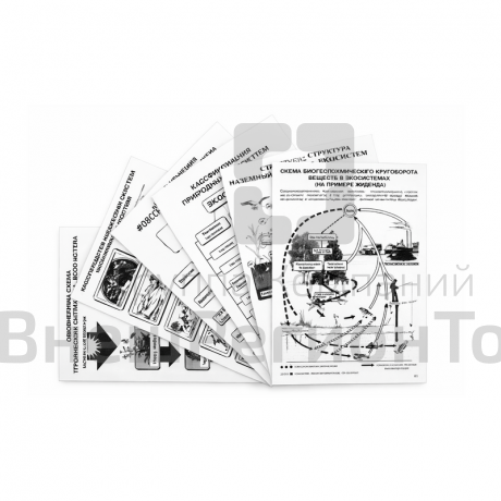 Комплект таблиц по экологии "Экосистема-экологическая единица окружающей среды" А4.