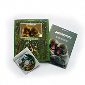 Электронное наглядное пособие "Эволюция"