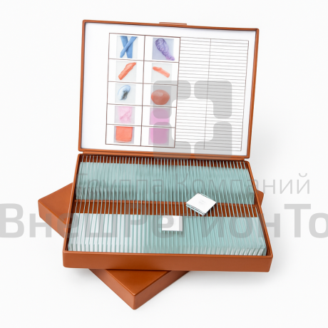 Комплект микропрепаратов "Общая биология".