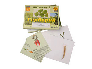 Гербарий «Культурные растения» — 30 видов
