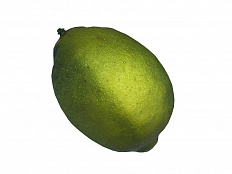 Муляж Лайм