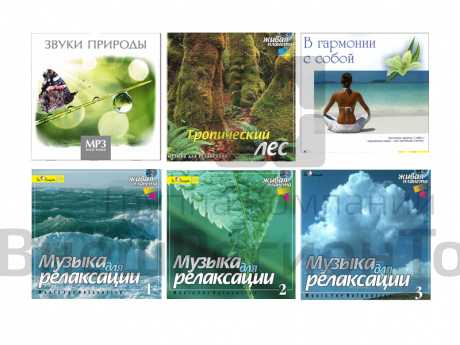 Комплект аудиозаписей.