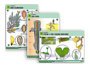 Таблицы по биологии Ботаника-1, 12 шт.