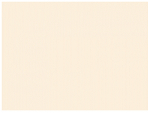 Бумажный фон молочный 2,7х11 м