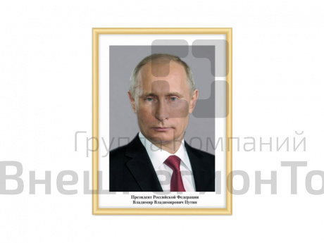 Портреты ПОЛИТИЧЕСКИХ ЛИДЕРОВ в рамке NIELSEN 42х56 см.