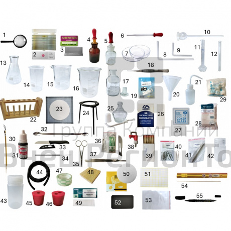 Кейс по биологии - Растения и их жизнедеятельность.