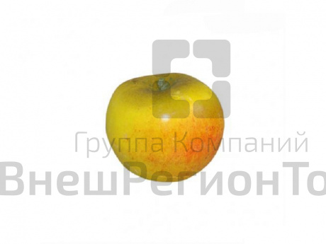 Муляж Яблоко Зеленое.