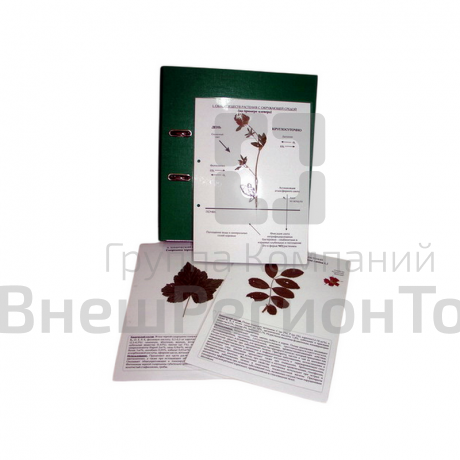 Гербарий "Основы общей биологии".