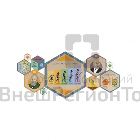 «Стендум - Биология» - набор информационно-методических панелей (10 шт.).