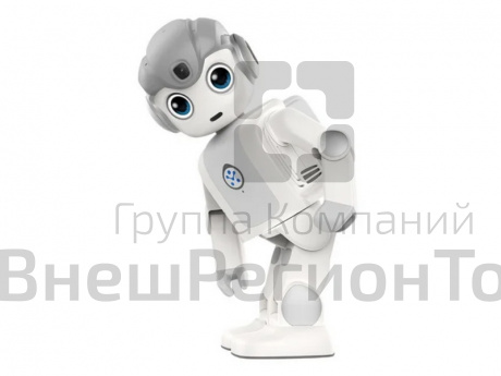 Гуманоидный робот Alpha MINI.