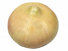 Муляж Лук репчатый