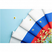 Задник-занавес Флаг России