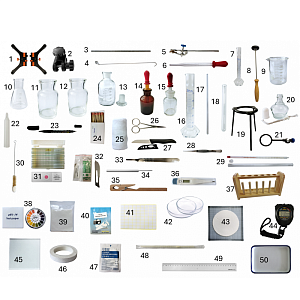 Кейс по биологии «Человек и его жизнедеятельность» на колесах