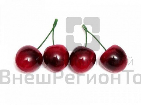 Муляж Вишня.