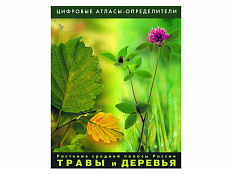 Растения средней полосы России "Травы и Деревья". Лицензия ПП/1 раб.место