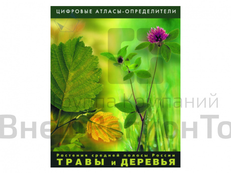 Растения средней полосы России "Травы и Деревья". Лицензия ПП/1 раб.место.