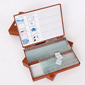 Комплект микропрепаратов Ботаника 2