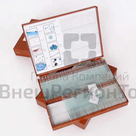 Комплект микропрепаратов Ботаника 2.