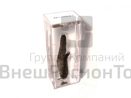 Влажный препарат "Пескожил".