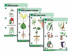 Таблицы по биологии Ботаника-2, 18 шт.