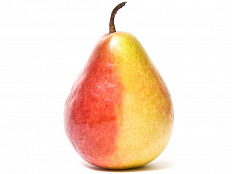 Муляж Груша Дюшес