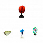 Комплект моделей "Из мира биологии"