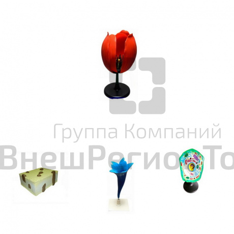 Комплект моделей "Из мира биологии".