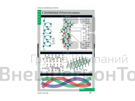 Таблицы "Белки и нуклеиновые кислоты" 8 шт..