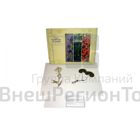 Гербарий "Ядовитые растения" (20 видов).