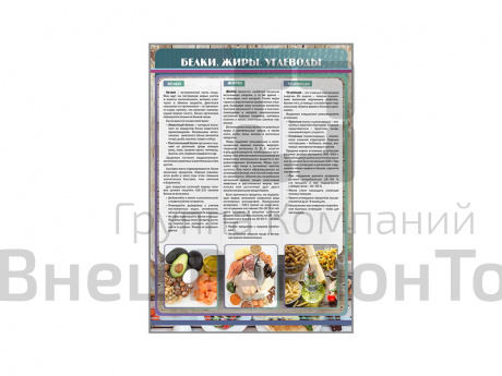 Стенд "Белки. Жиры. Углеводы".