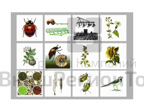 Модель "Агроценоз".