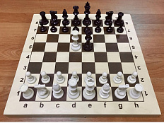 Шахматы пластиковые N7 с деревянной складной доской 43 см