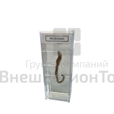 Влажный препарат Пескожил.