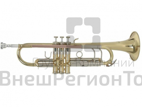 Труба Рой бэнсон - ROY BENSON TR-403.