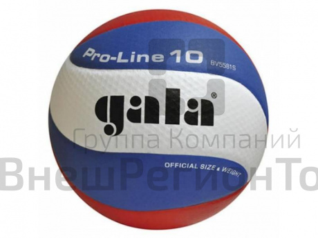 Волейбольный мяч Gala Pro-line, р. 5.