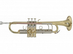 Труба Рой бэнсон - ROY BENSON TR-403