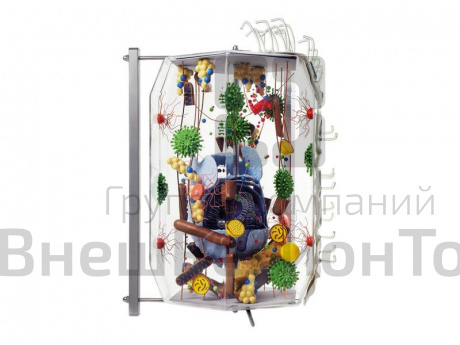 Стеклянная модель клетки, увеличенной в 40000 раз.