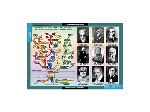 Таблицы демонстрационные «Введение в экологию» — 18 листов