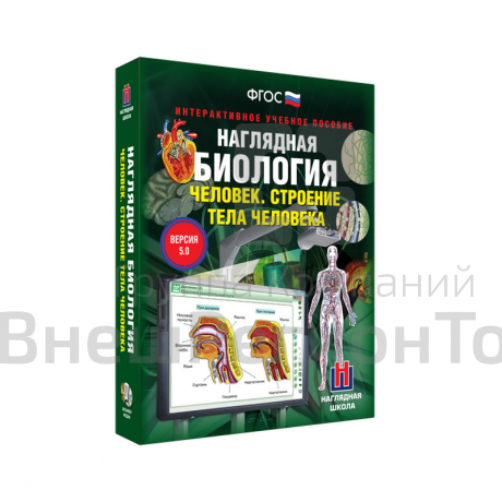 Наглядная биология. Человек. Строение тела человека 8-9 классы (интерактивное пособие).