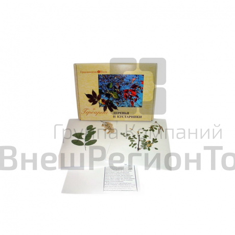 Гербарий «Деревья и кустарники».