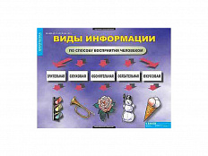 Таблицы демонстрационные "Введение в информатику"