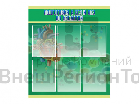 Стенд Подготовка к ЕГЭ и ОГЭ по биологии 80х90 см.