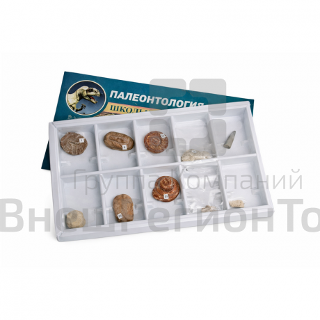 Коллекция образцов Палеонтологическая.
