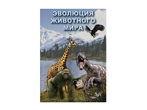 DVD Эволюция животного мира (учебный фильм)