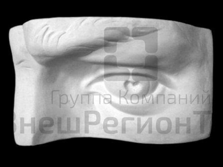 Гипсовая модель Глаз человека левый.