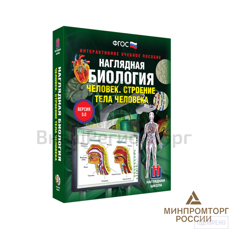 Наглядная биология. Человек. Строение тела человека 8-9 классы (интерактивное пособие).