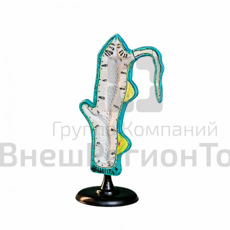 Модель гидры.