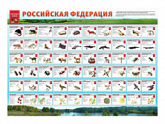 Стенд Красная книга РФ