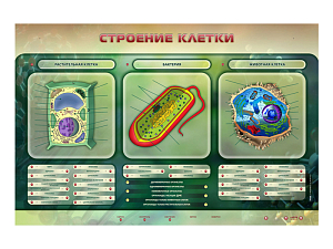 Электрифицированный стенд «Строение клетки» 1500×1000 мм