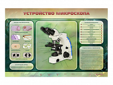 Электрифицированный стенд "Устройство микроскопа и правила работы c ним"